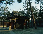 首 页